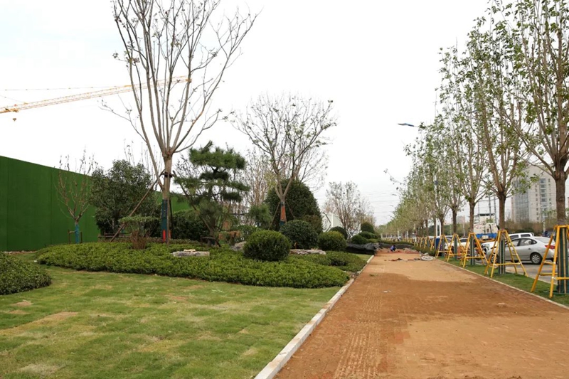 1664269106146339.jpg 4.jpg